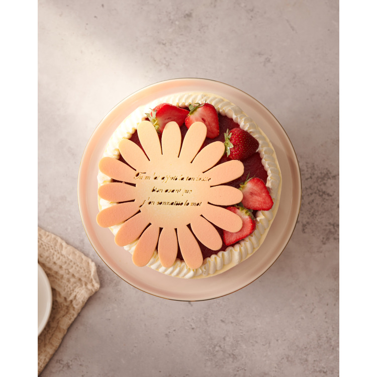 Fraisier 6 pers.