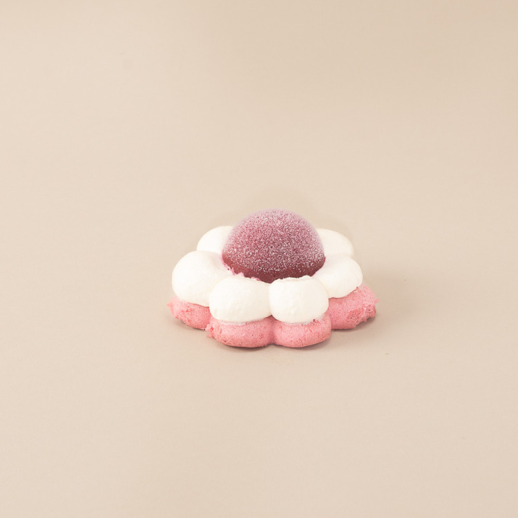 Pavlova végétale